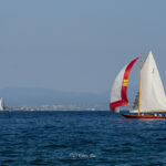 2023-10 - Les Voiles de Saint-Tropez - 06 - Divers - 003